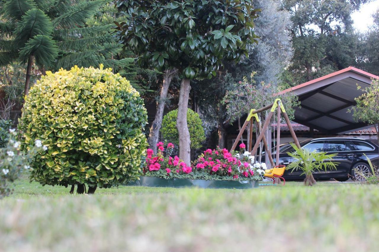 Turismo Homes Solar Do Areal Braga Exterior photo